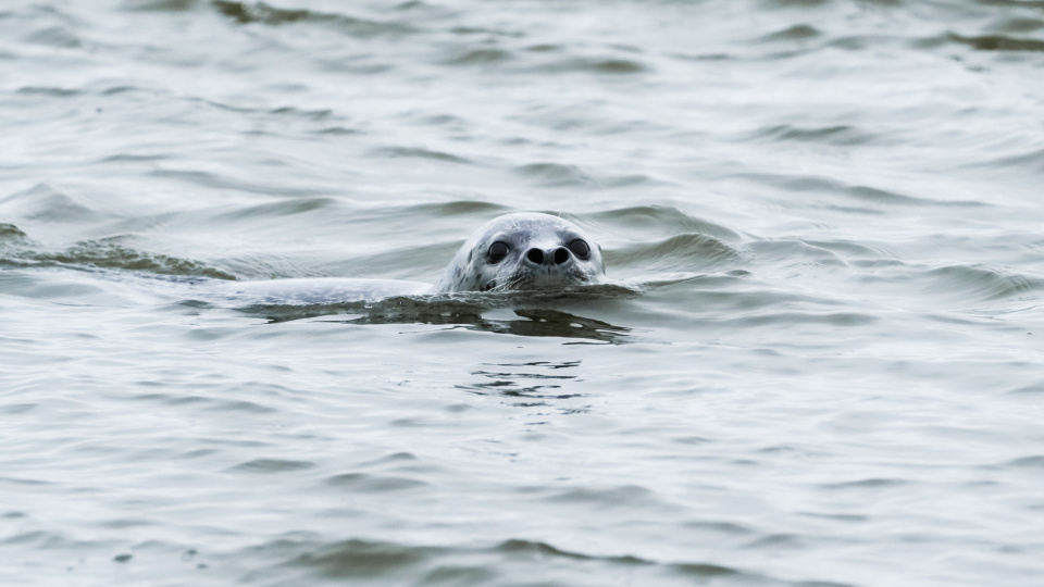 Иван Ветров, участник фотоконкурса РГО "Самая красивая страна"