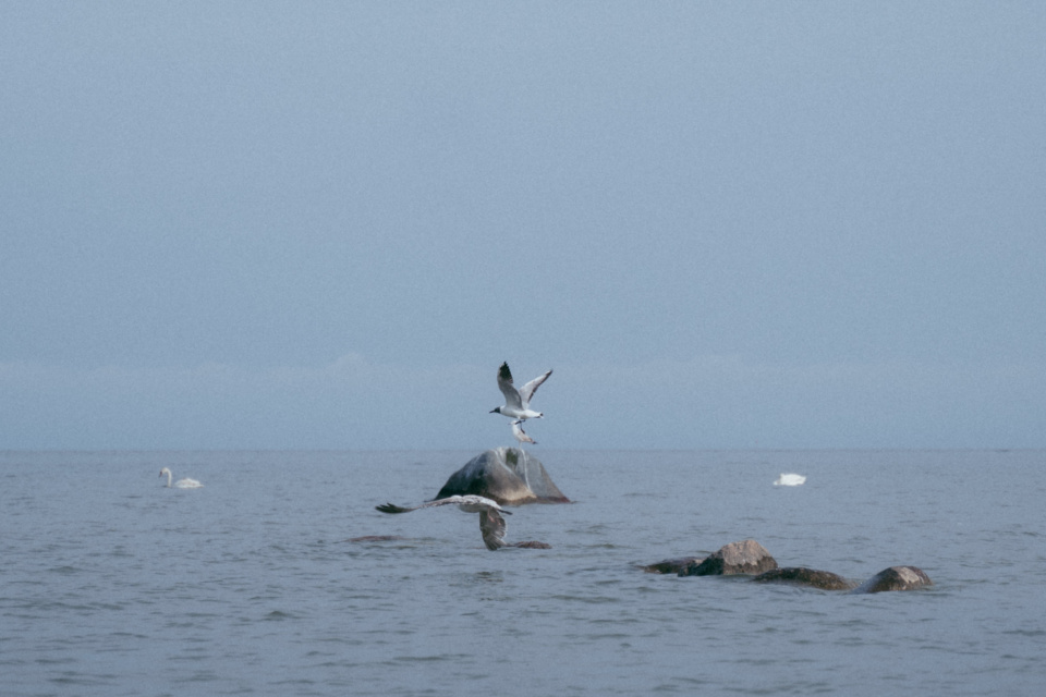 Ксения Чайкина