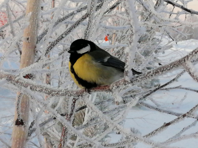 Анастасия Буреева, участник фотоконкурса РГО "Самая красивая страна" 