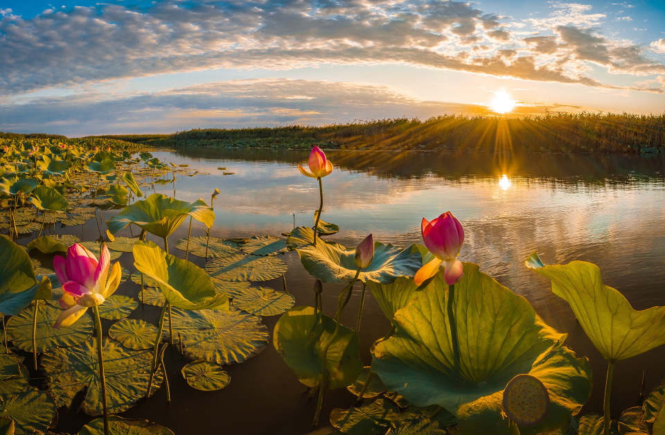Фёдор Лашков, участник фотоконкурса РГО "Самая красивая страна"