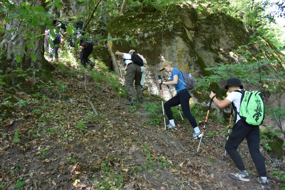 Могила неизвестного летчика Могила неизвестного летчика