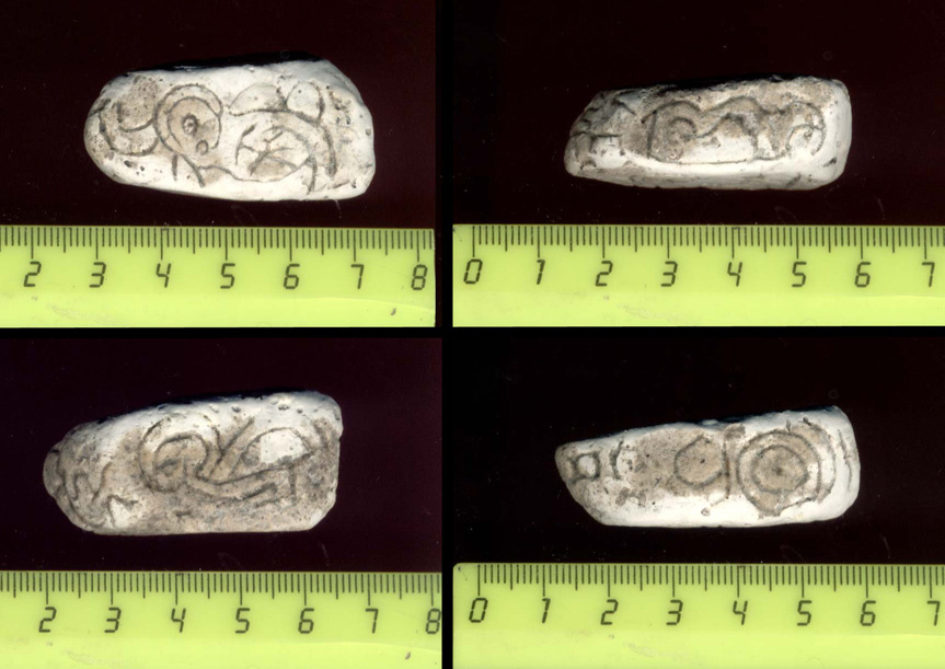 Дмитрий Васильев