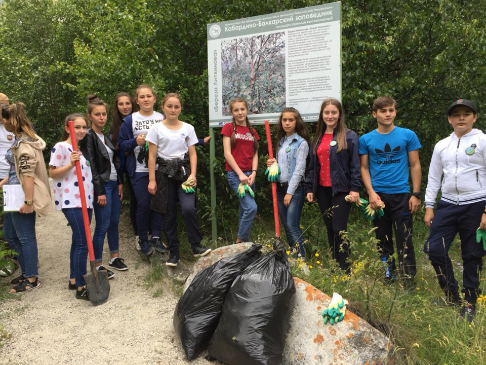 Парадайз субботник