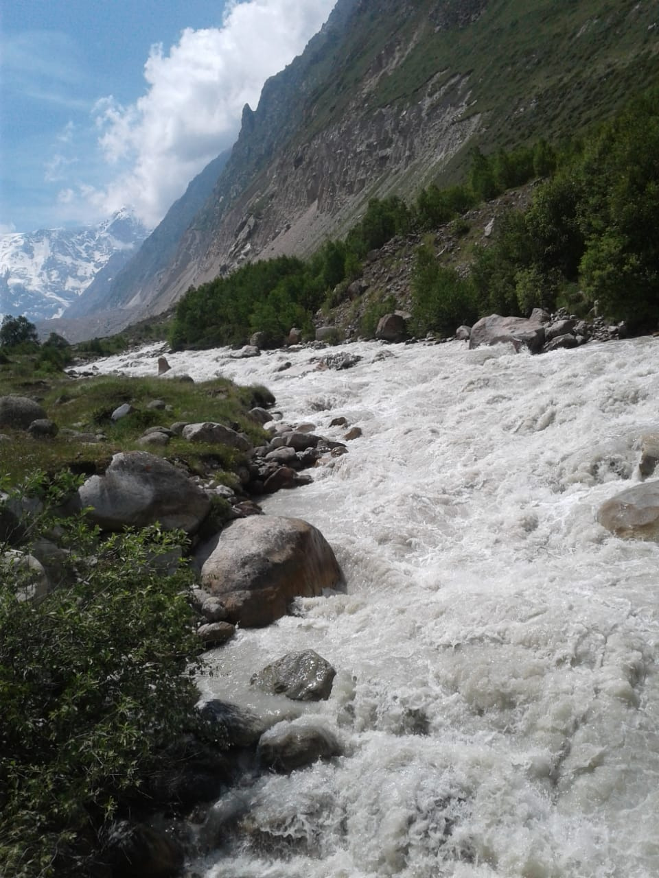 Парадайз субботник Парадайз субботник