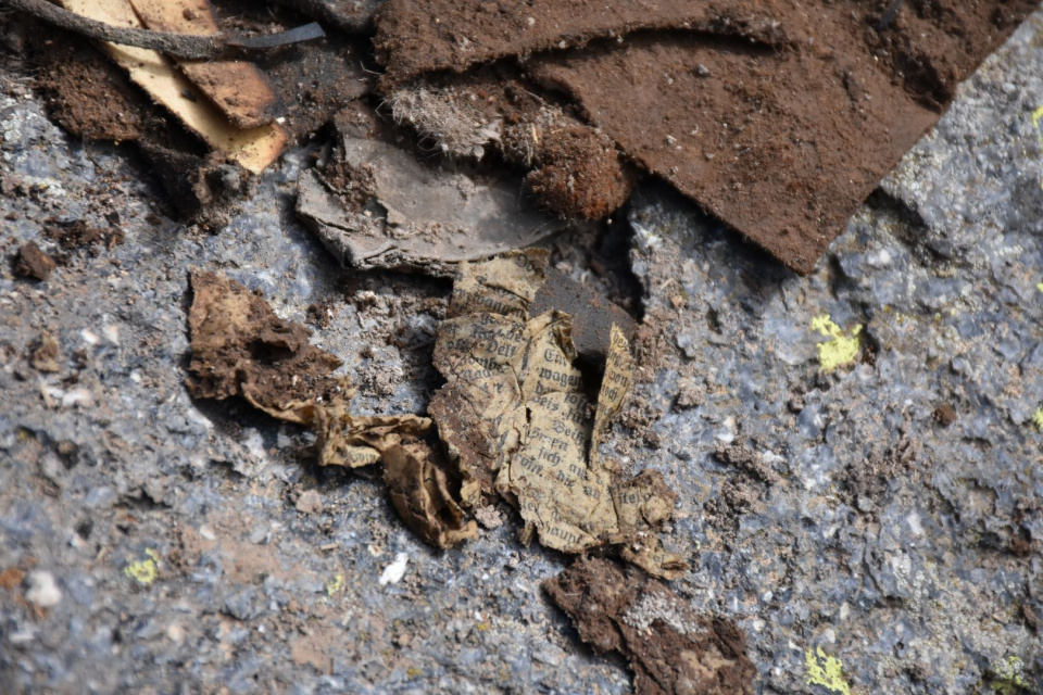 МК РГО | Альтаир