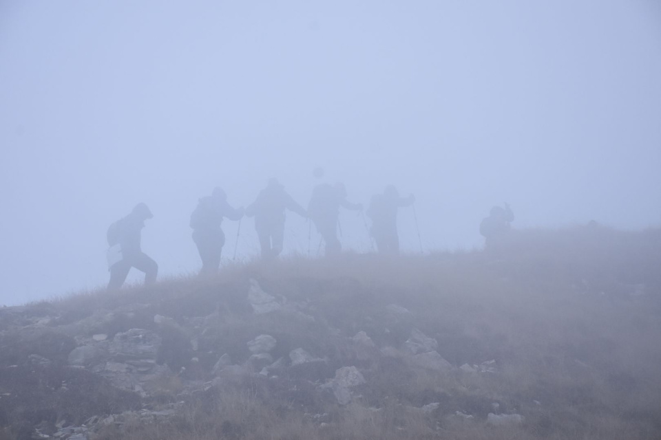 Тенгиз Мокаев 