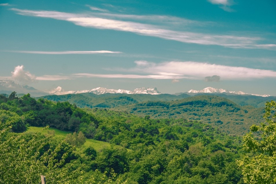 Ислам Шогенов