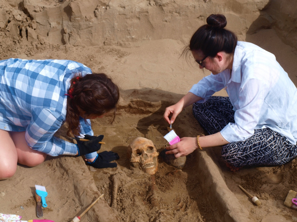 Предоставлено организаторами