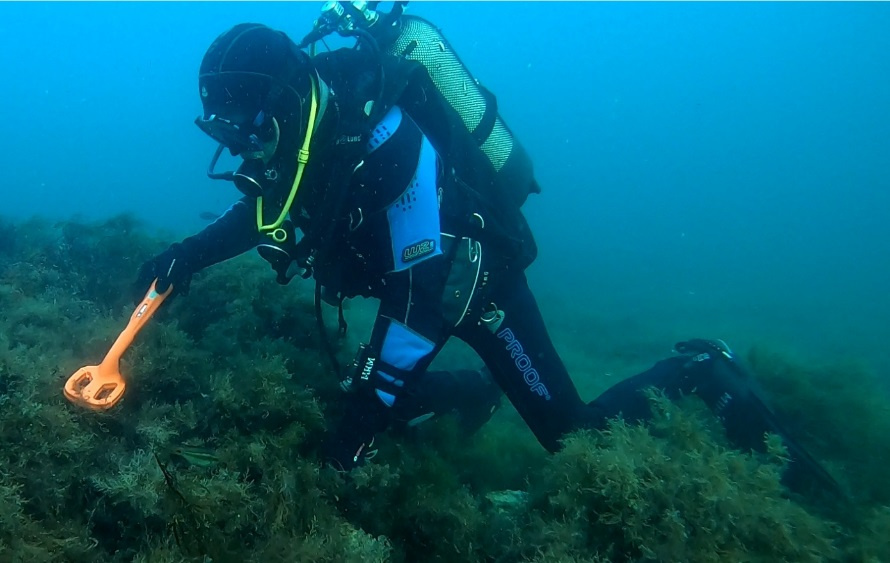 Предоставлено организаторами 
