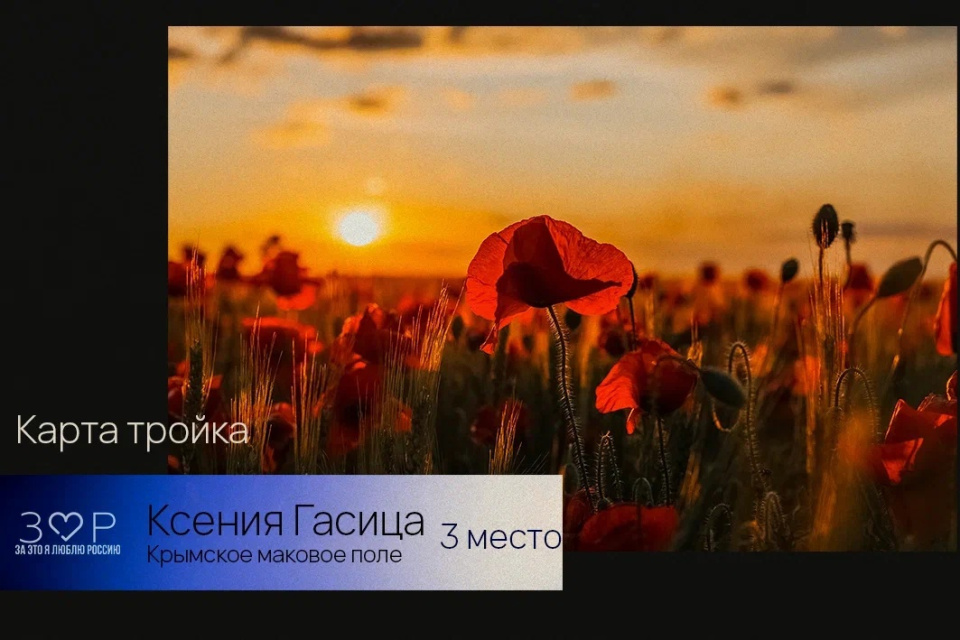 Ксения Гасица 