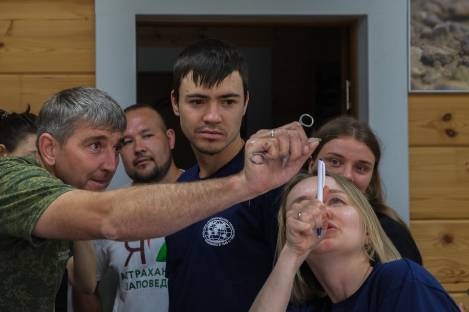 Анастасия Вихляева