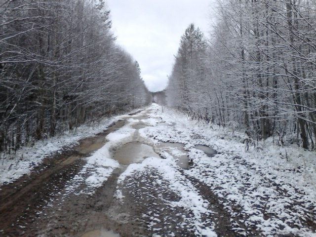 МК РГО на базе СГУ им. Питирима Сорокина
