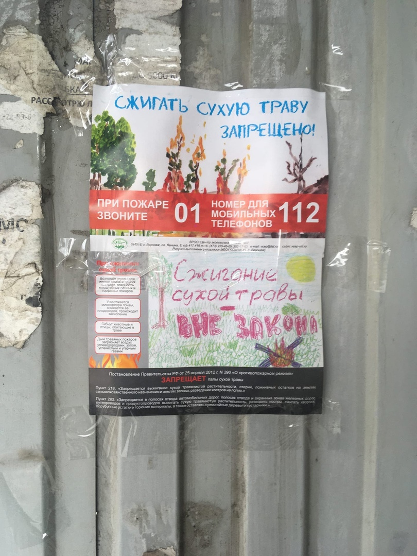 Сохраним природу родного края