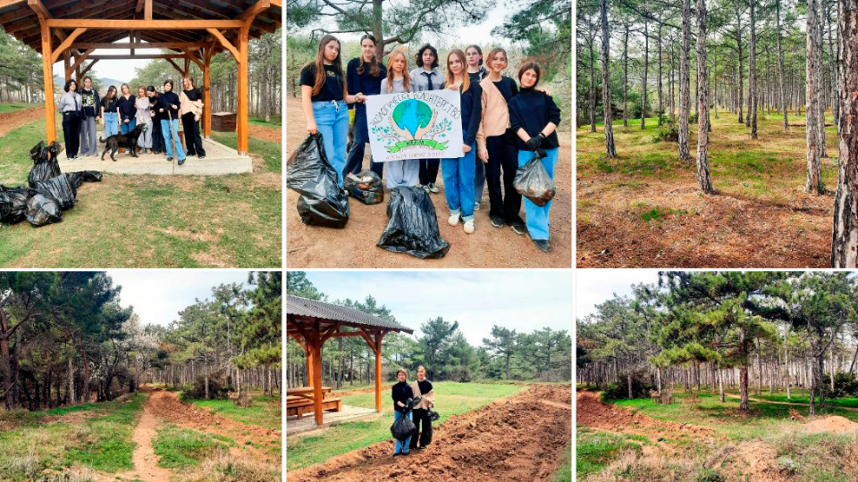 Экологическое волонтерство