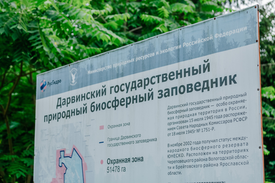 Ксения Гасица