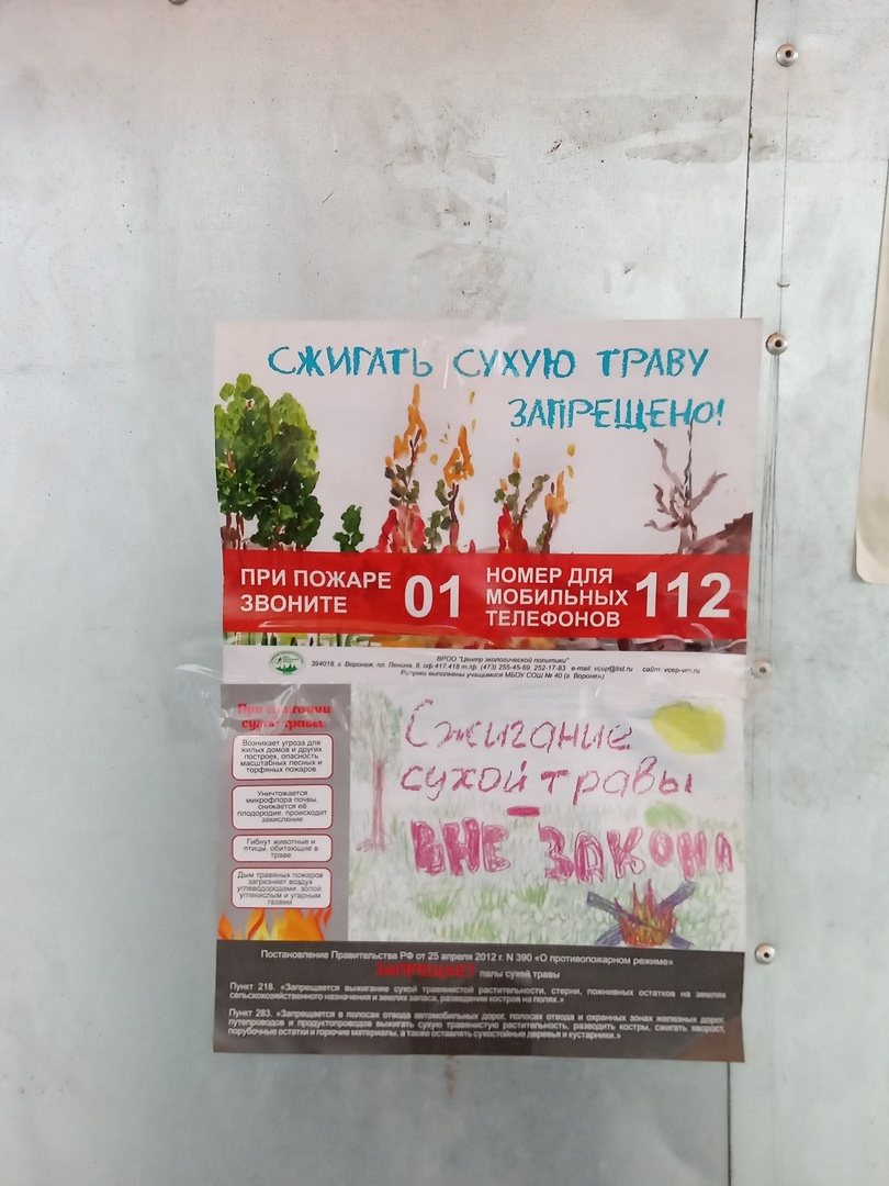 Сохраним природу родного края