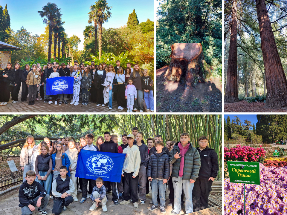 Неделя Чёрного моря Неделя Чёрного моря