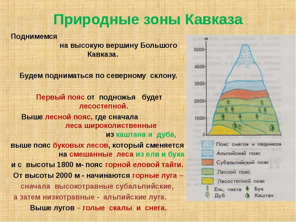 Молодёжный клуб РГО