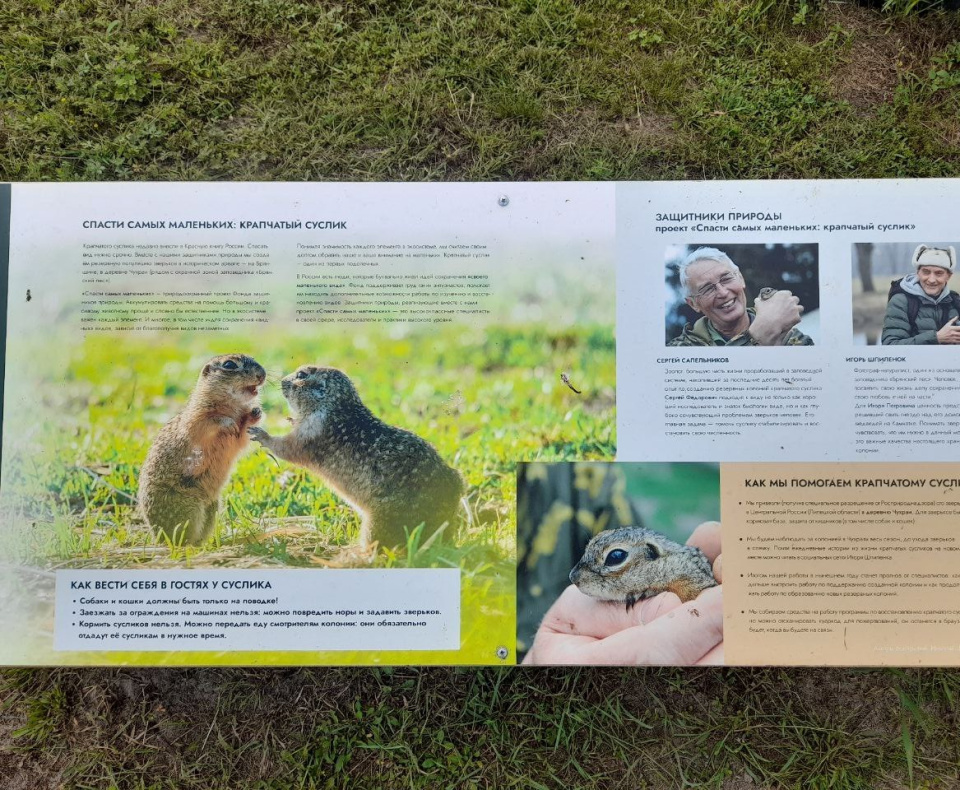 Павел Ложкин