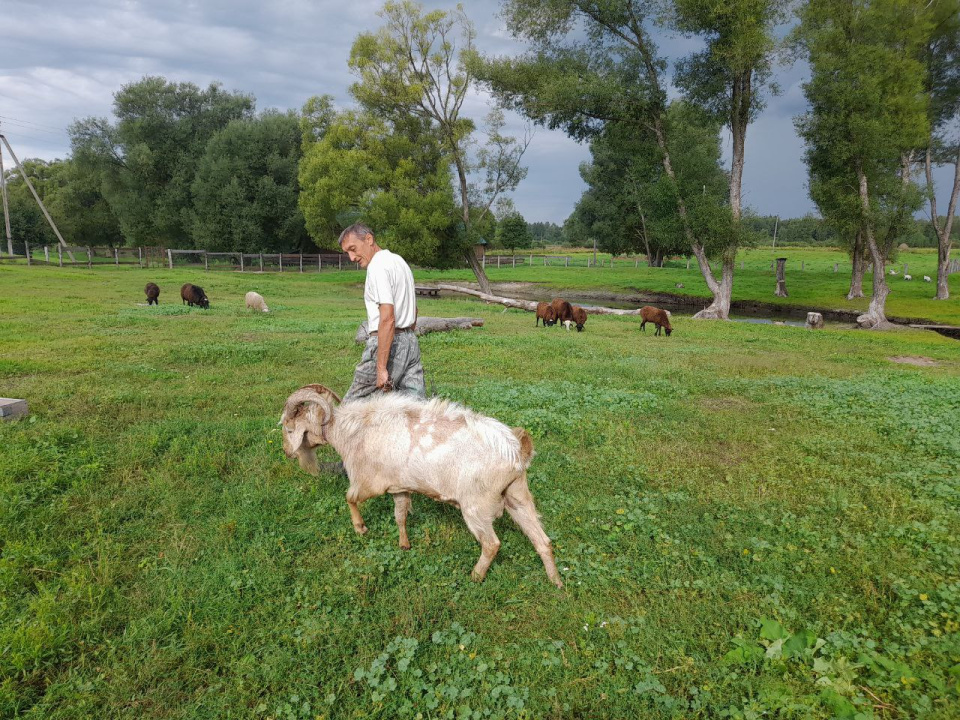 Павел Ложкин
