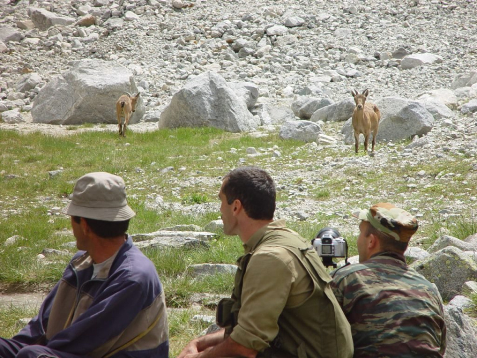 Сотрудники заповедника на "фотоохоте"