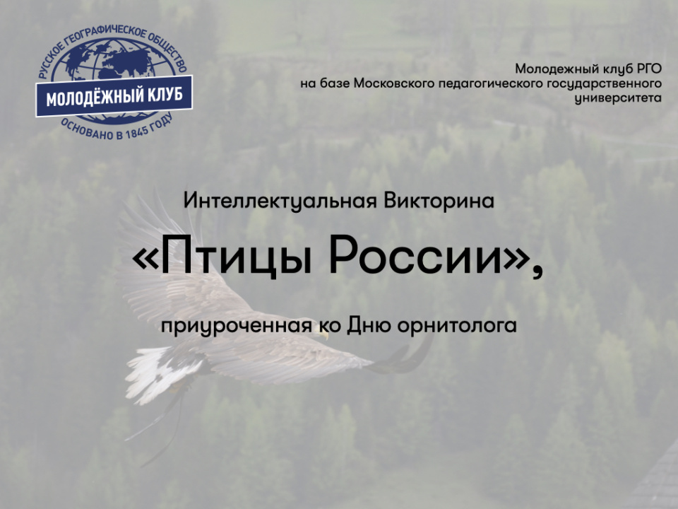 Викторина Птицы России