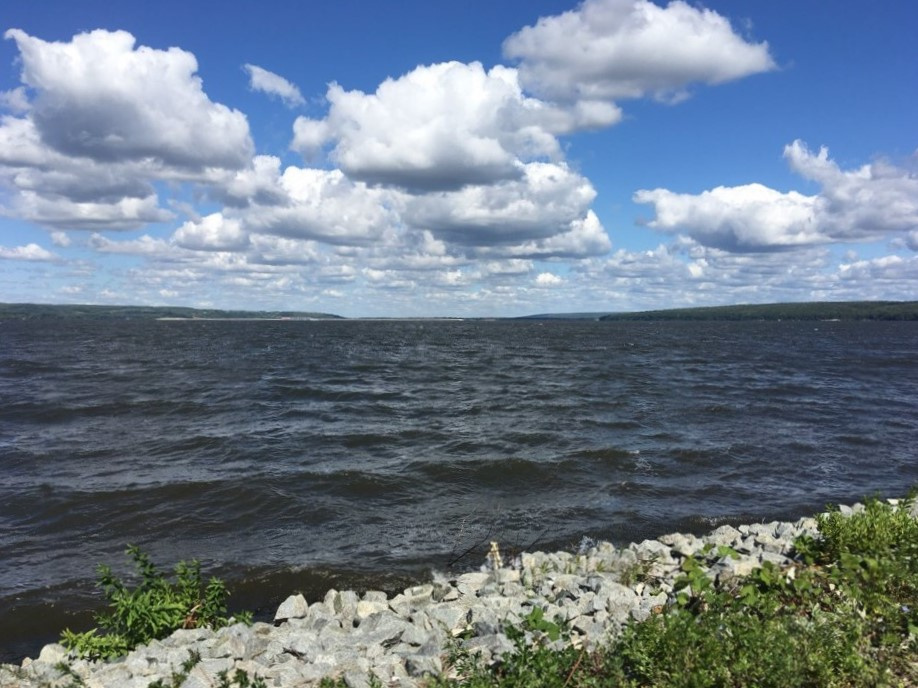 На берегу Сурского водохранилища. 