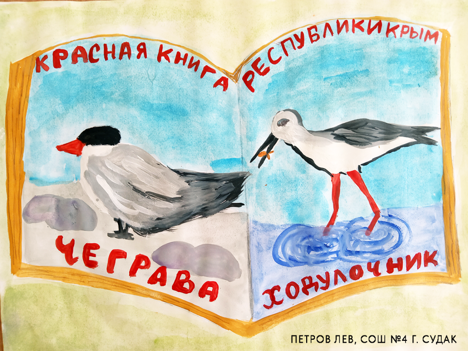 Конкурс «Пернатые Крыма»