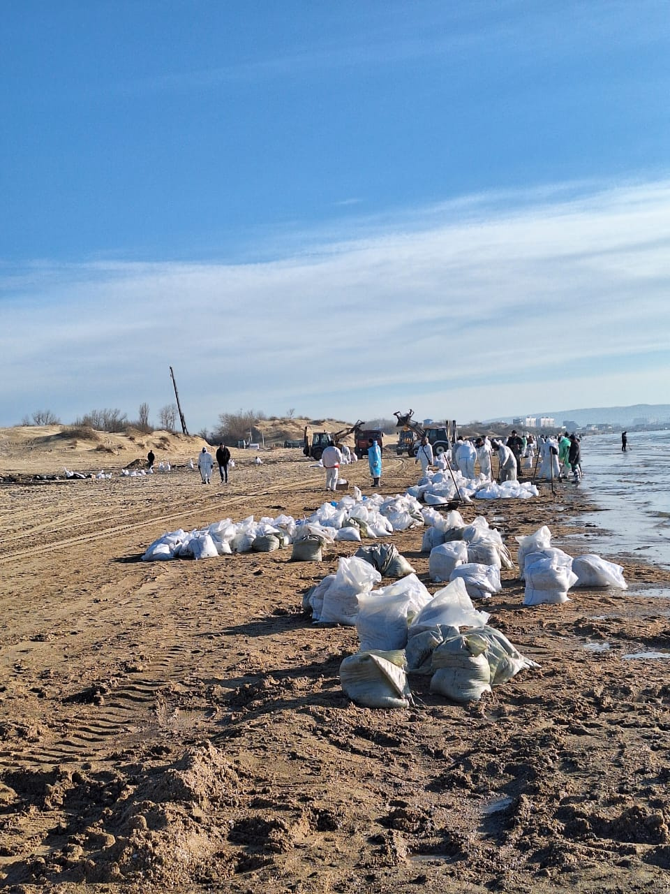 Уборка пляжа