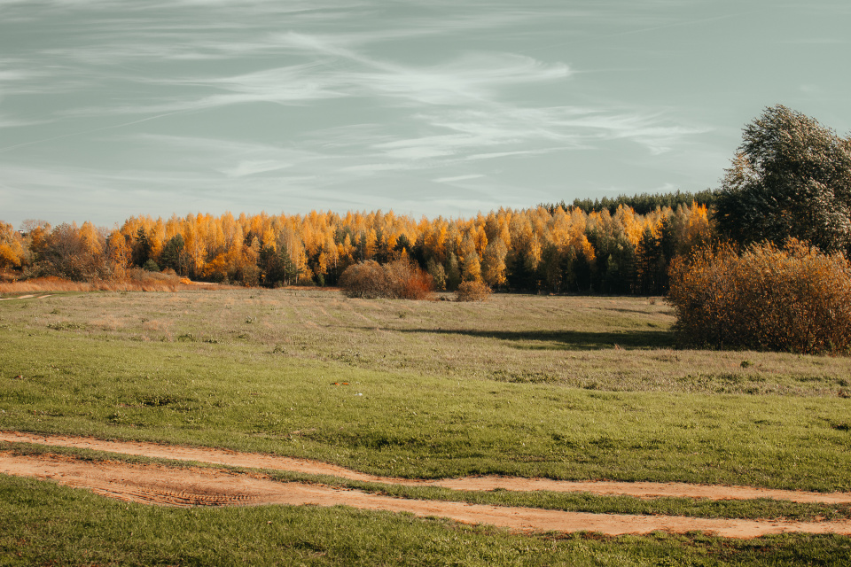 Пейзажи