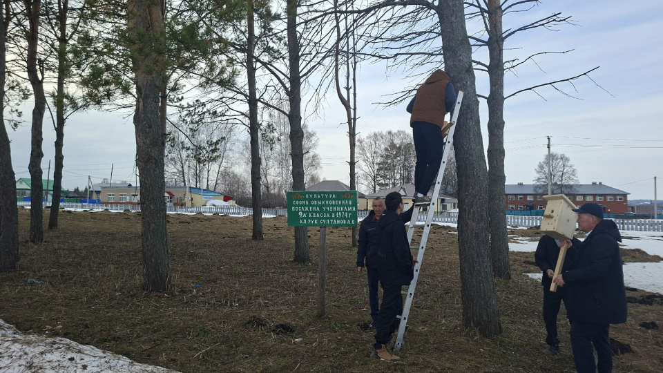 Установка скворечников на деревьях в Парке Победы