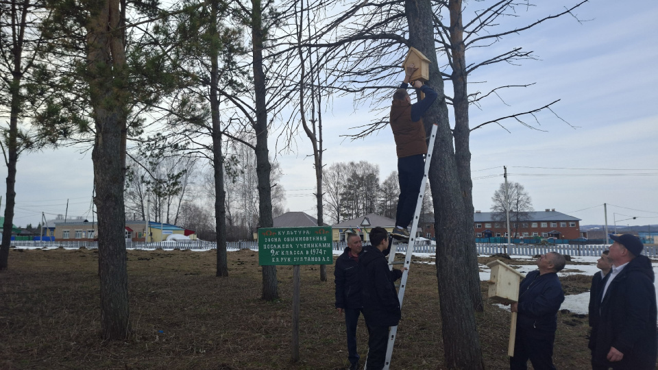 Установка скворечников на деревьях в Парке Победы