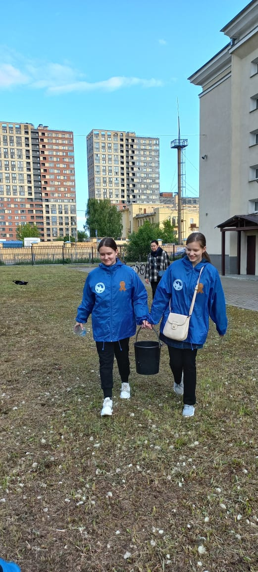 Посадка Сада Памяти в школьном дворе
