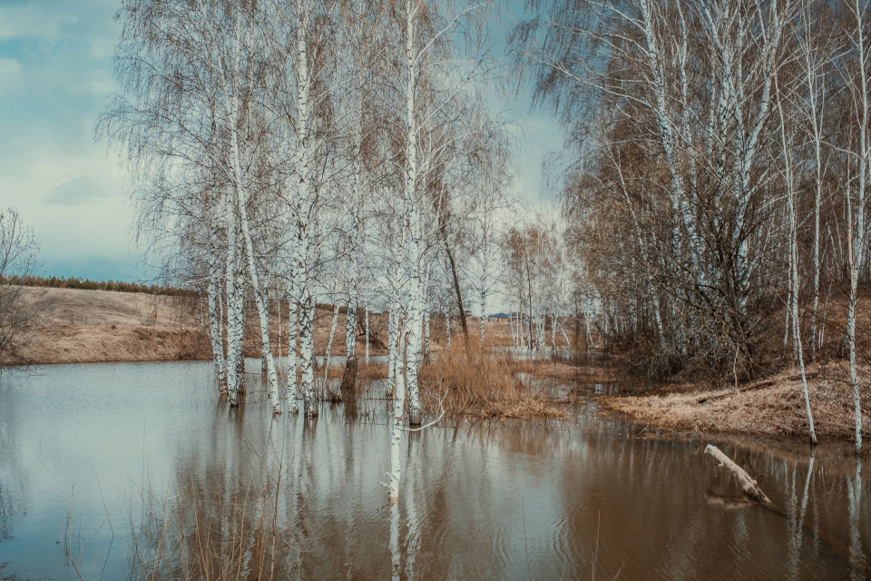 р. Каймарка 