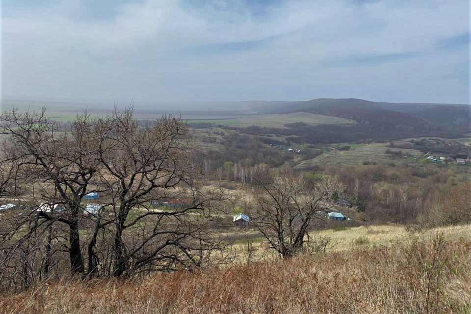 На экологической тропе