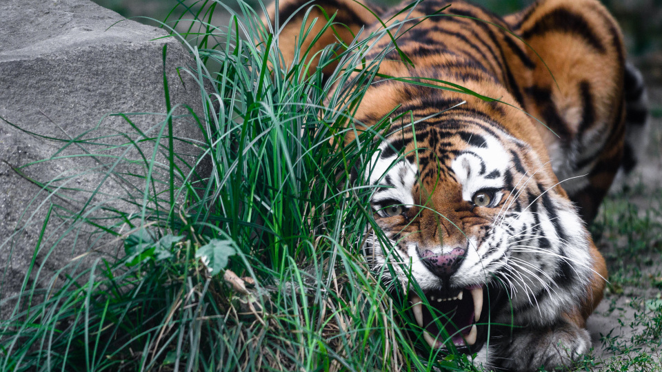 Михаил Колесников, участник фотоконурса РГО "Самая красивая страна" 