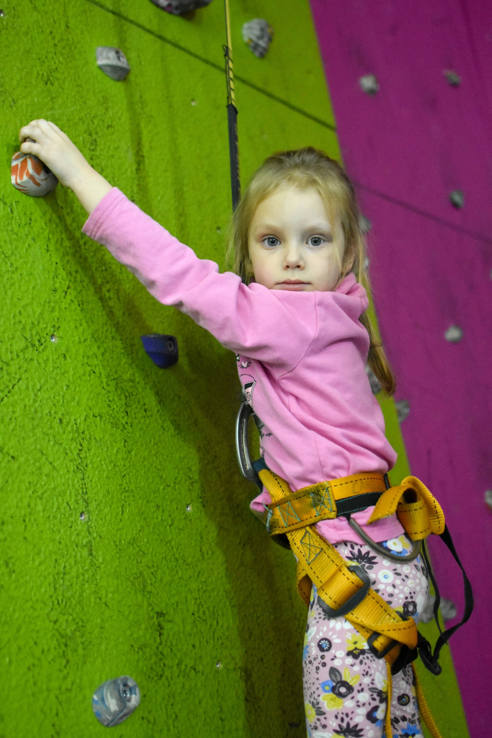 Предоставлено Молодежным клубом РГО "Новое поколение" Предоставлено Молодежным клубом РГО "Новое поколение"