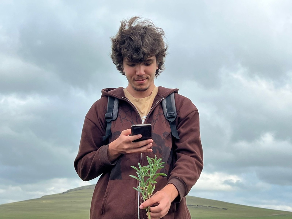 Определение вида растения