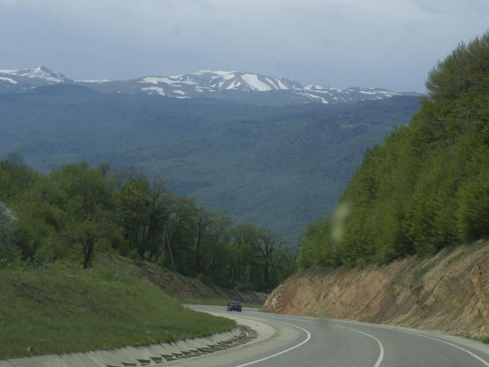 Предоставлено Молодежным клубом РГО "Собер" 