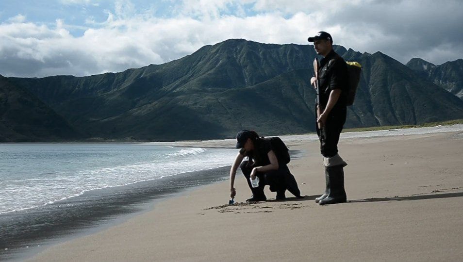 Предоставлено организаторами