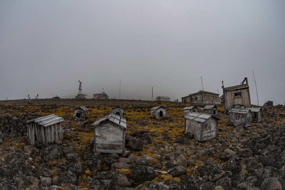Возвращение к "большой земле", Архангельская область