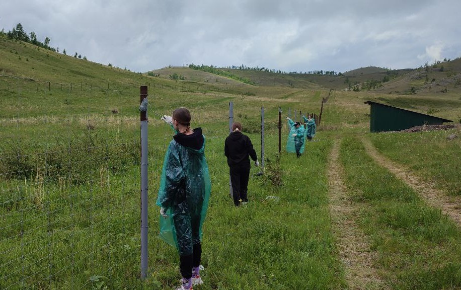 Волонтерский выезд Волонтерский выезд