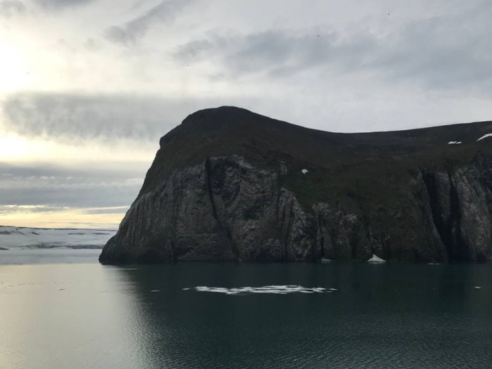 Предоставлено организатором