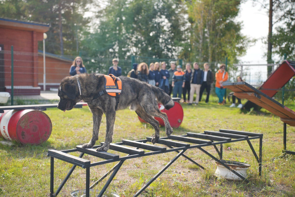 Алеся Стариченко