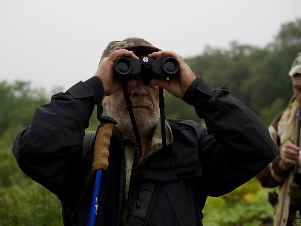 Анастасия Беляева