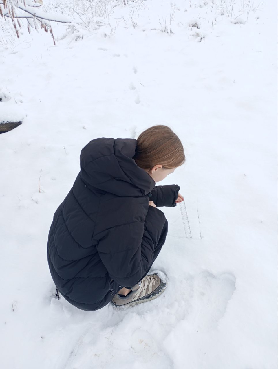 Юлия Кузина, фенолог, проводит наблюдение