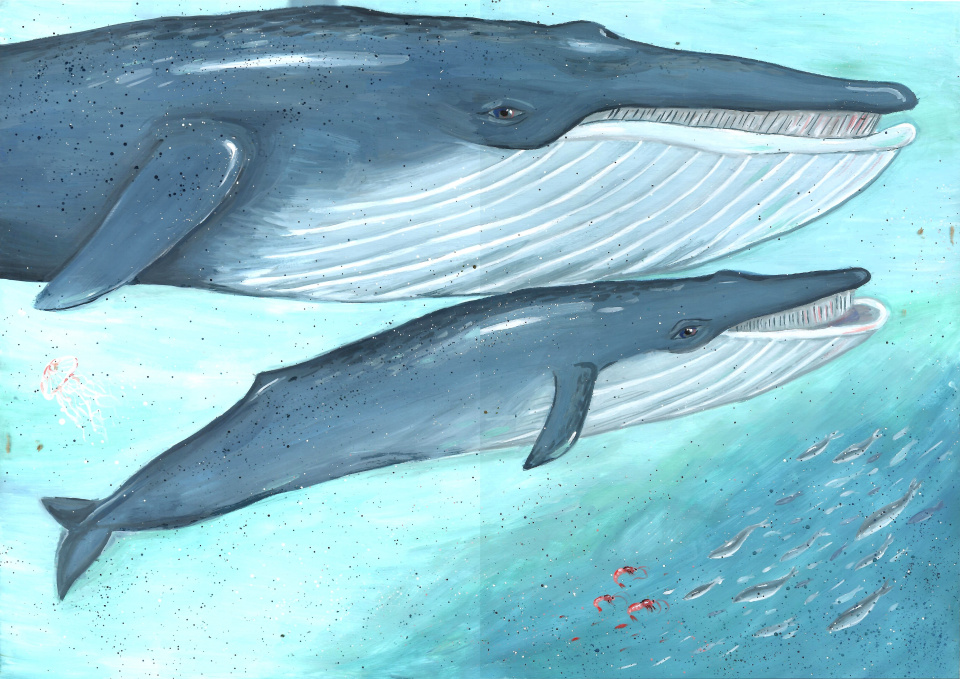 Синие гиганты