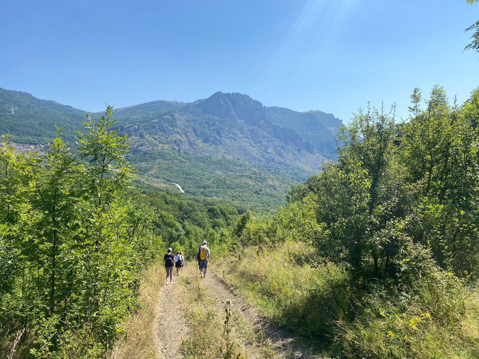 Никифорова А.А. 