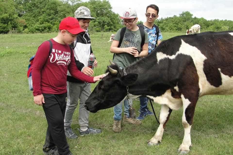 Поход выходного дня