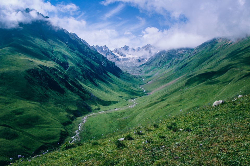 Ксения Гасица